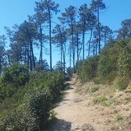 La Casa Di Zefiro Apartment *