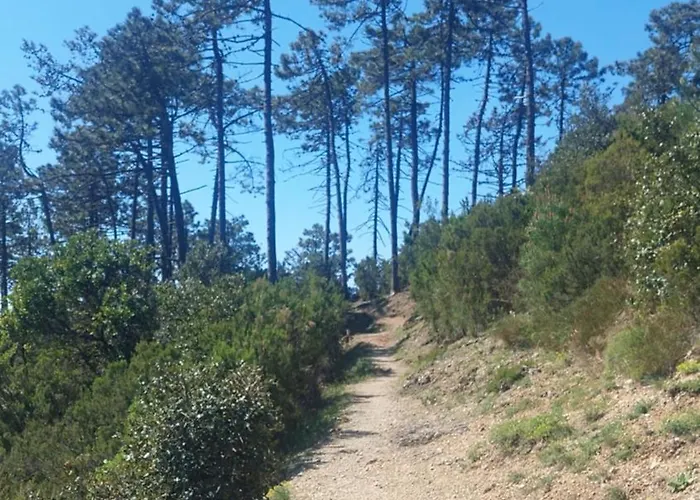 La Casa Di Zefiro Appartement *